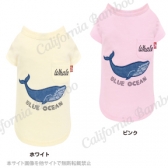 【30%OFF】 サマーホエールTシャツ