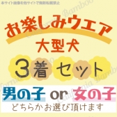 お楽しみウエアセット(大型犬)~秋冬Ver~