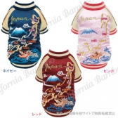 【30%OFF】Fujiジャパン