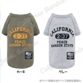 カレッジTシャツ