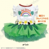 【30％OFF】フラガール