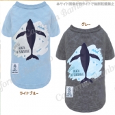 【30％OFF】ホエールダメージTシャツ