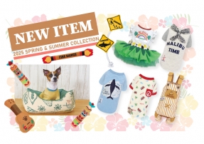 New Arrival